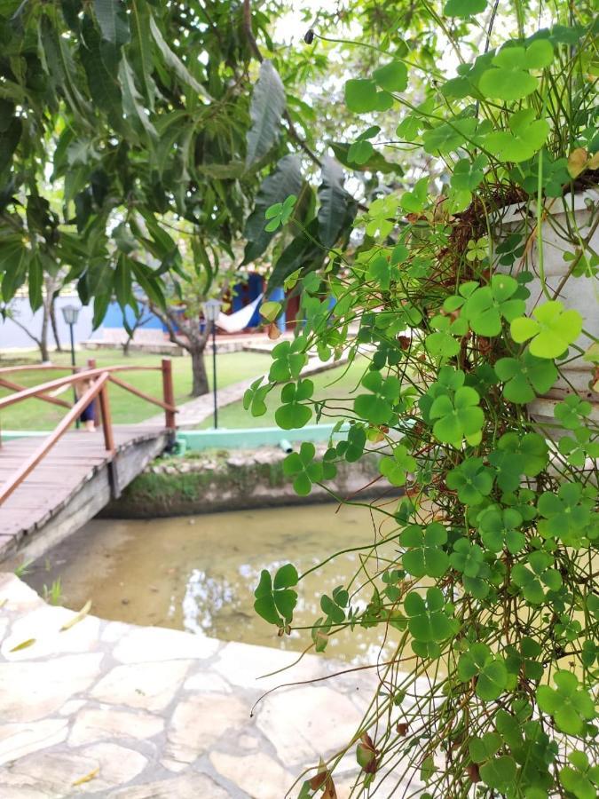 Cores Do Cerrado - Chales E Suites Goiás エクステリア 写真